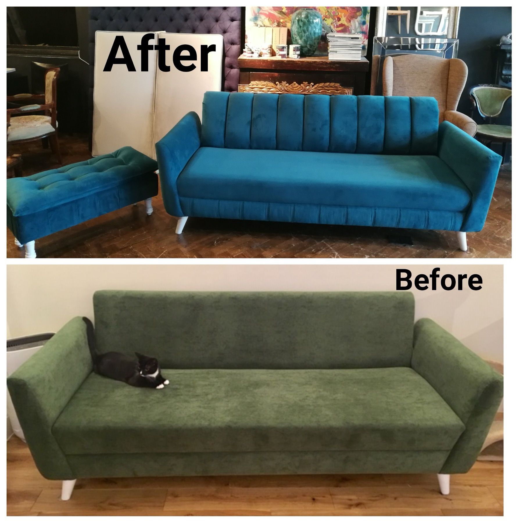 Cat on an upholstered sofa used as a pet friendly fabric example