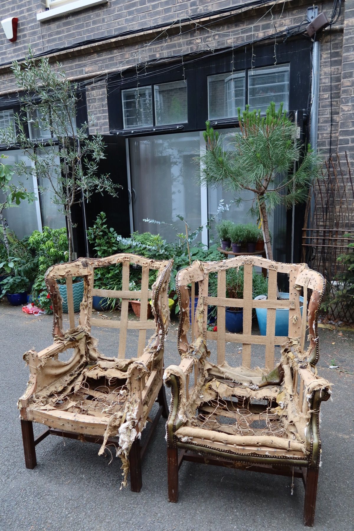 Two stripped chair frames showing old upholstery, webbing and exposed seat springs