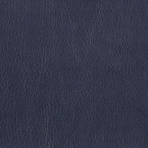 Marlborough Navy